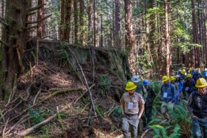 Touring a restoration site in Redwood National Park. Photo by Max Forster.