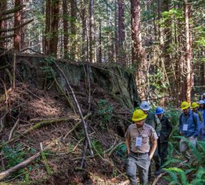 Put Californians back to work through conservation