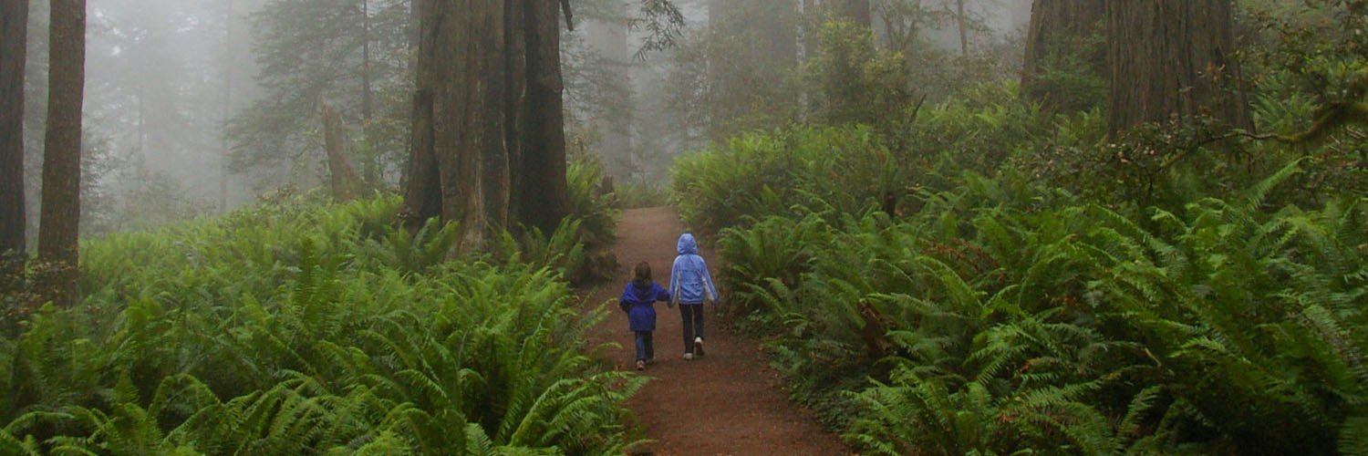 Smallest Kids, Tallest Trees Save the Redwoods League