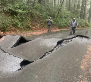 Mattole Rd. in Humboldt Redwoods State Park