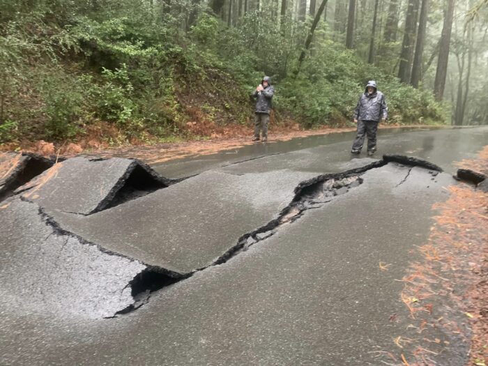 Mattole Rd. in Humboldt Redwoods State Park