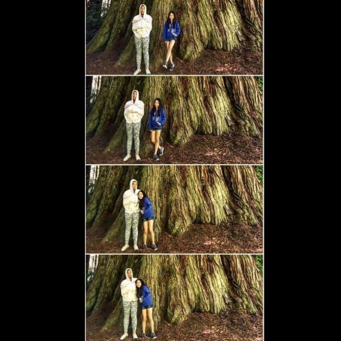 Four images of two children standing together in front of the base of a giant coast redwood, with a black border along the sides of the images.