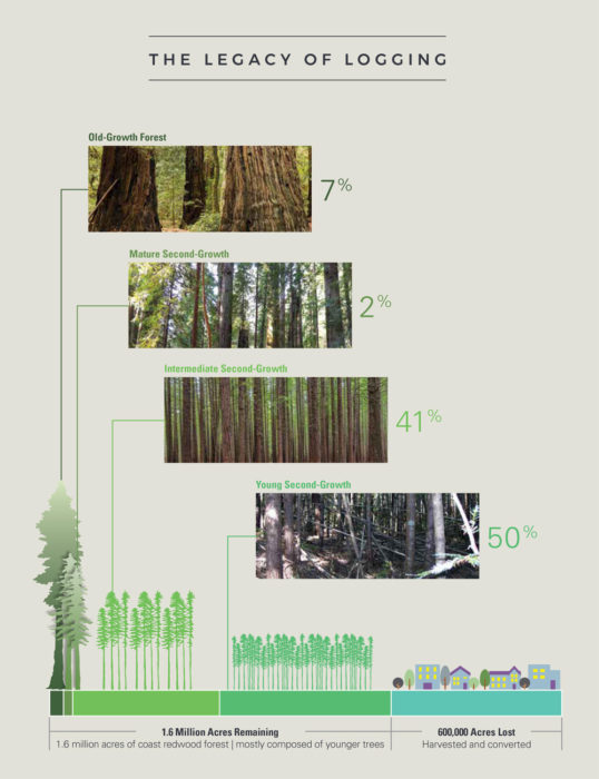 The Legacy of Logging