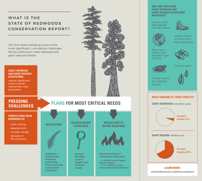 What is the State of Redwoods Conservation Report?
