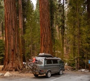 A grey van with bikes mounted on the back parked in a parking lot surrounded by giant sequoia trees.