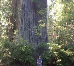 League staffer Jen Charney at Prairie Creek Redwoods State Park.