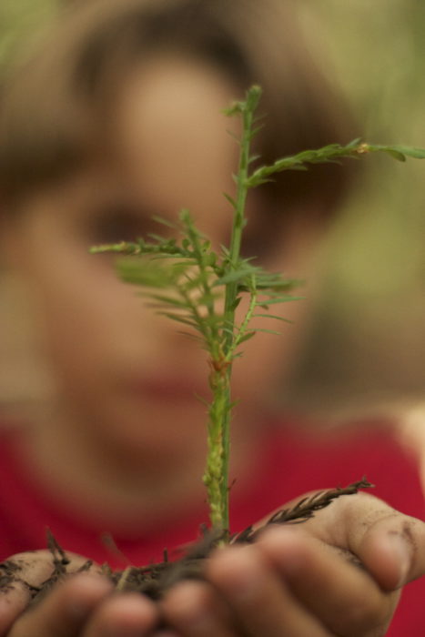 child with seedling