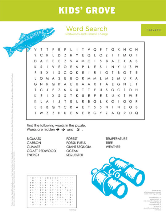 Word Search