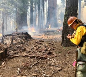 Legislation would commit California to more prescribed and cultural burning