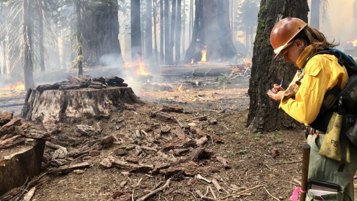 Wildfire smouldering while scientist works