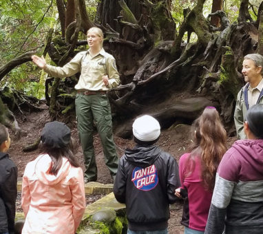 The Live Like Coco Foundation takes Santa Cruz County students on a field trip to Nisene Marks to see redwoods. Photo courtesy of The Live Like Coco Foundation