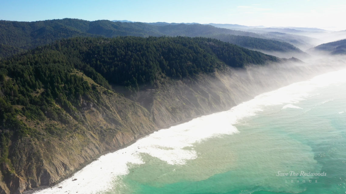 Aerial view of Lost Coast Redwoods