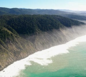 Aerial view of Lost Coast Redwoods