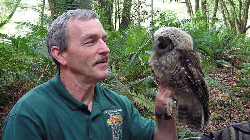 Lowell Diller holds a fledgling spotted owl.