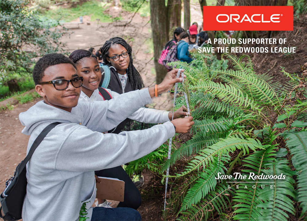 REDWOODS Autumn/Winter 2018 Magazine Fall 2018 Save the Redwoods League