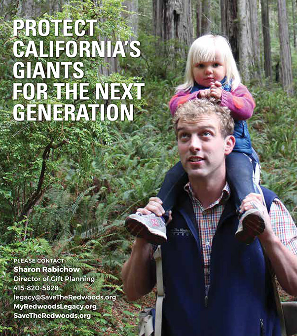 Protect Giants for Future Generations