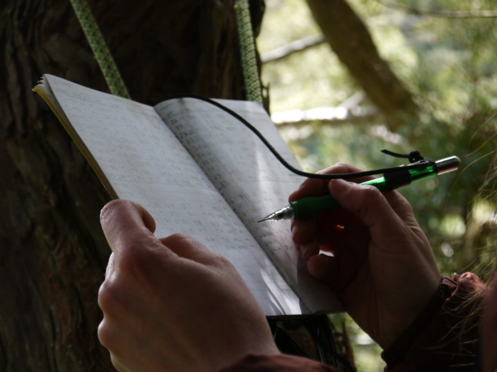 person writing on a notebook, forest in the background