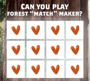 Play the Forest Matchmaker Game