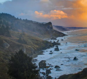 Redwood National Park, High Bluff. Photo by Max Forster