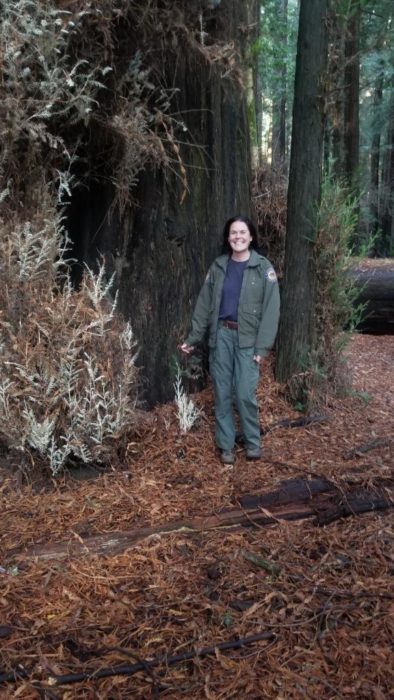 A woman in a park ranger uniform, standing next to a large redwood trunk and a small, light-colored albino redwood
