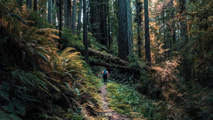 California State Parks Week, 6/14-6/18 2023