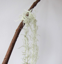 Knitted old man’s beard lichen by Celeste Woo.