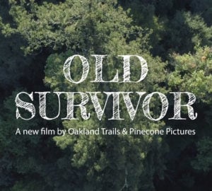 Many Old Survivor screenings are scheduled in 2019. See the trailer.