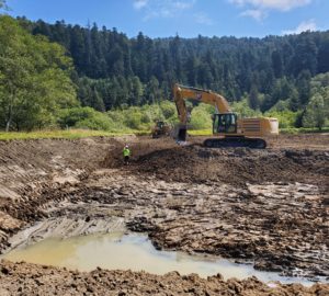 Progress continues in Redwood National and State Parks Trails Gateway