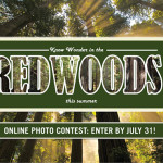 Visit a redwood park, capture your trip with a camera, then enter our photo contest! Photo by Jon Parmentier, finalist in the 2010 Online Photo Contest.