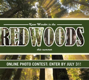 Visit a redwood park, capture your trip with a camera, then enter our photo contest! Photo by Jon Parmentier, finalist in the 2010 Online Photo Contest.