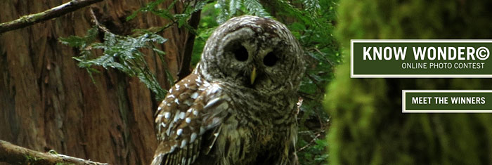 See the winners of the 2013 Know Wonder Online Photo Contest. Photo by Scott Wright, winner of 1st place