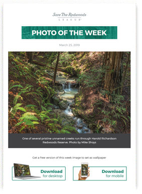 Photo of the week Photo of the week