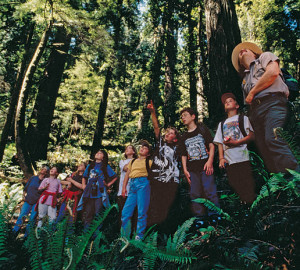 Kids in the redwoods. Photo by Evan Johnson