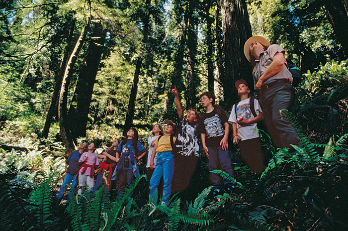 Kids in the redwoods. Photo by Evan Johnson