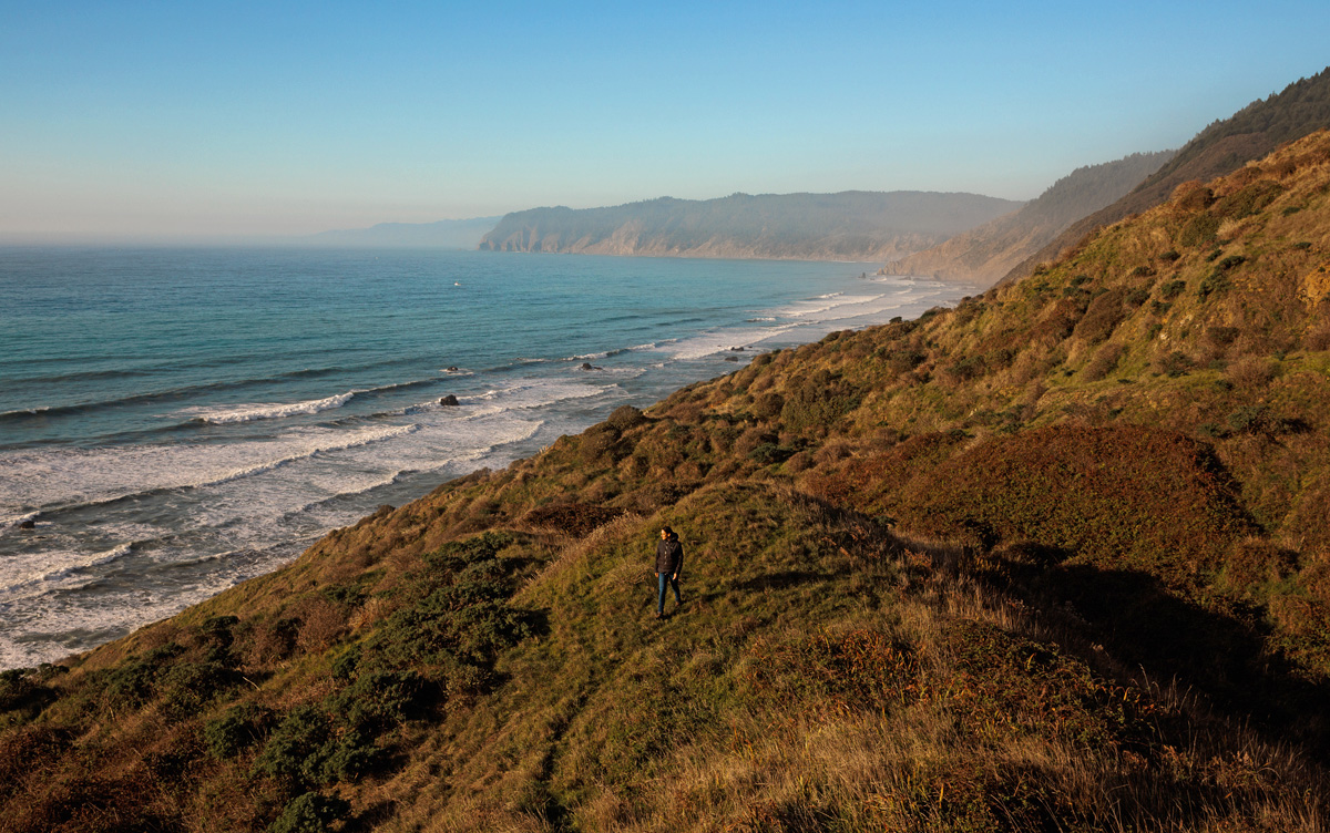 Lost Coast Redwoods