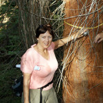 Peggy Light, League Board of Directors member, gathers redwood trunk measurements while on a staff and volunteer outing.