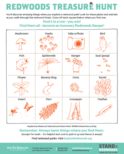 REDWOODS TREASURE HUNT