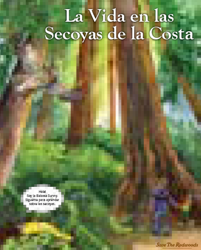 TEACHER’S GUIDES AND RESOURCES