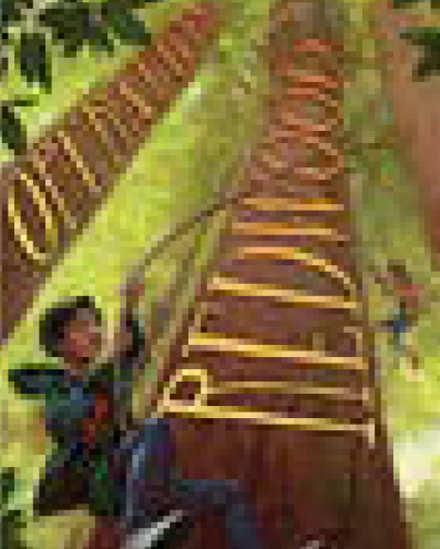 CELEBRATE REDWOODS IN LITERATURE