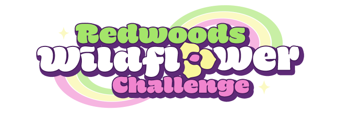 Redwoods Wildflower Challenge
