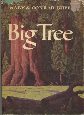 Big Tree