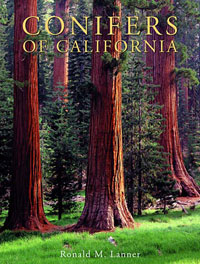 Conifers of California