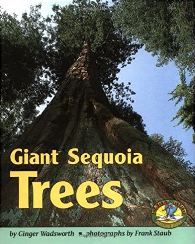 Giant Sequoia Trees