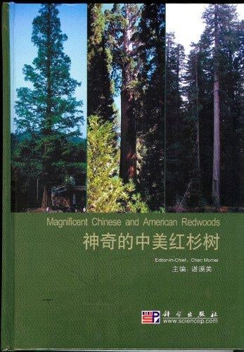 Magnificent Chinese and American Redwoods
