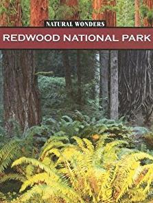 Redwood National Park: Forest of Giants