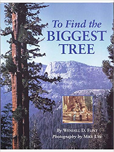 To Find the Biggest Tree