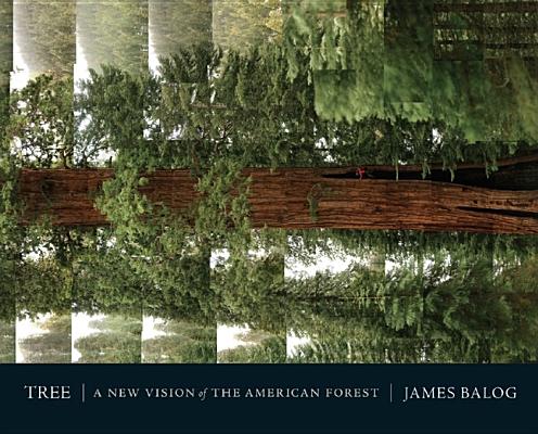 Tree: A New Vision of the American Forest