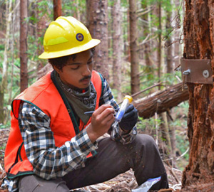 Cultivating connection and creativity in the forest