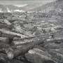 Redwood logging like this in Scotia, Calif., around 1918, spurred the establishment of Save the Redwoods League. Photo by H.C. Tibbits