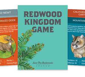 Play the Redwood Kingdom Game